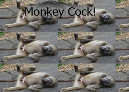 Monkey Cock