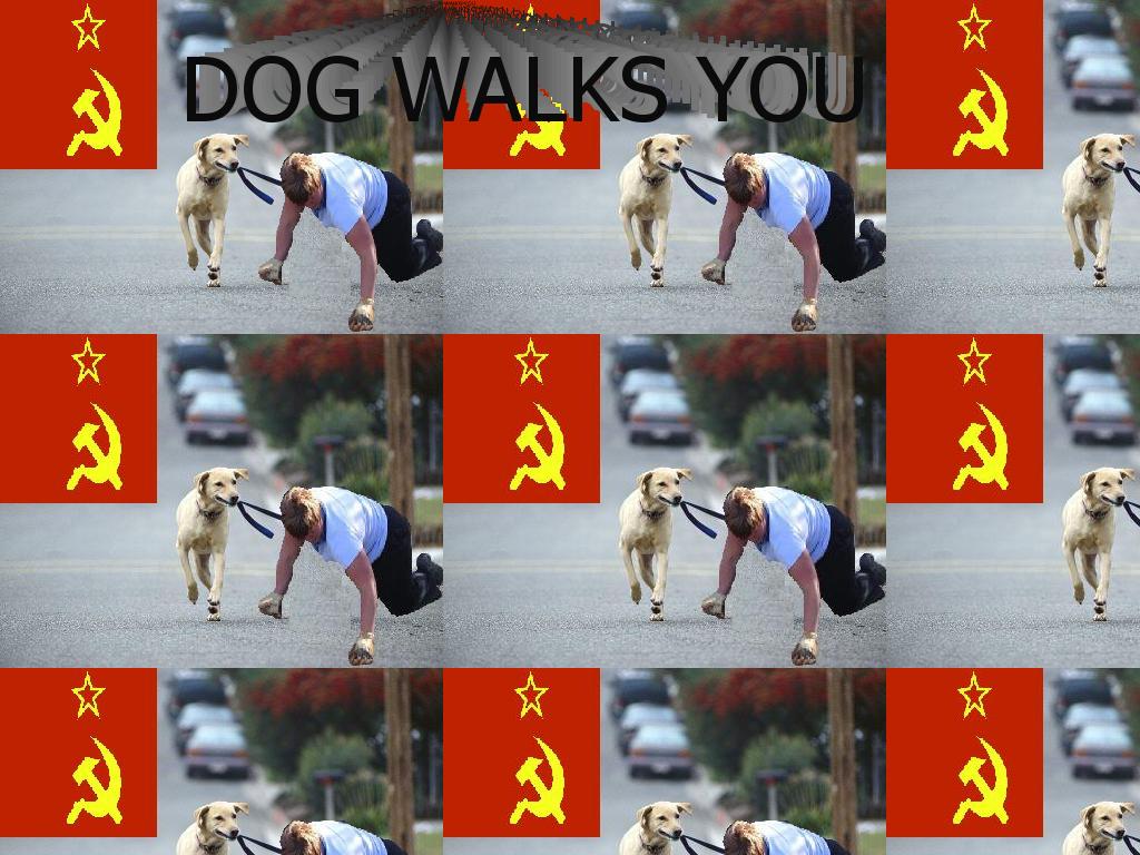 dogwalksyoubetter