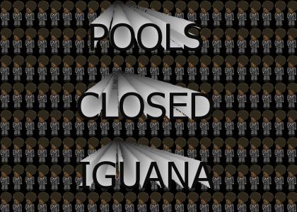 POOLS CLOSED, IGUANA