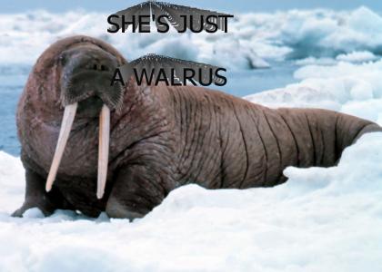 She's Just a Walrus