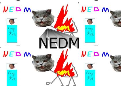 NEDM by a 10 year old