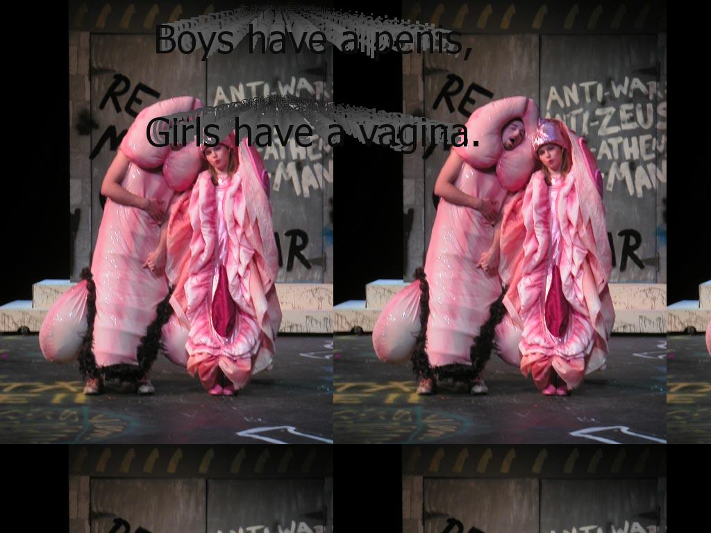 penisvagina