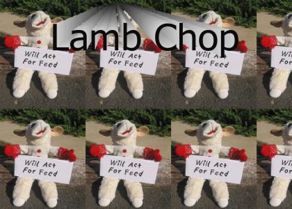 Lamb Chop is poor