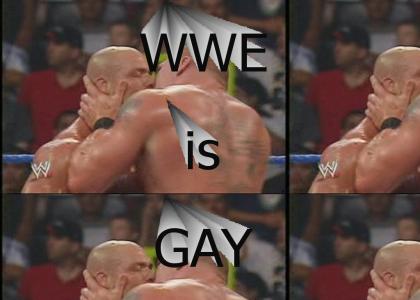 WWE is Gay!