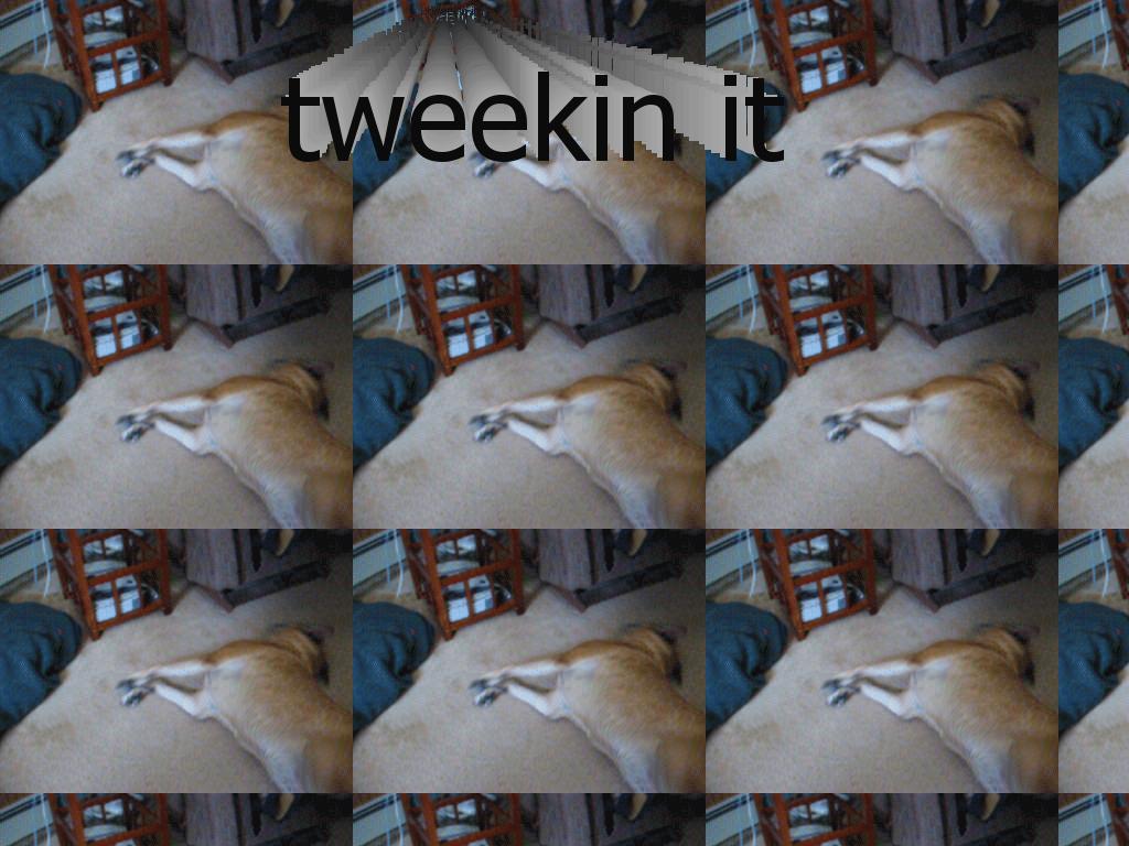 tweekdog