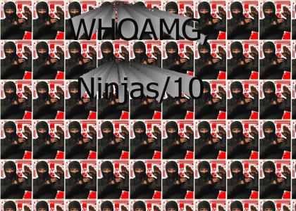 WHOAMG, Ninjas/10