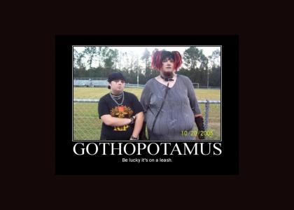 gothopotamus