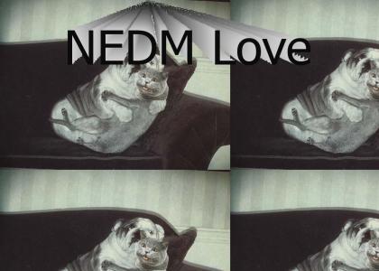 NEDM lovers