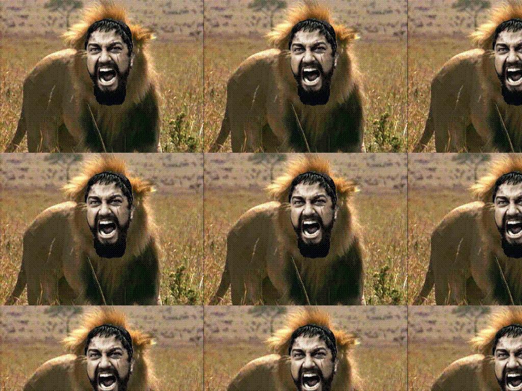 LIONIDAS