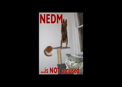 NEDM not amused  (better sound)