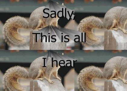 I talk to Squirrels