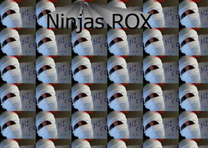 Ninjas ROX!
