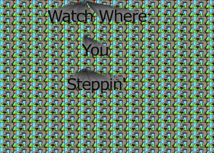 Watch Where You Steppin'