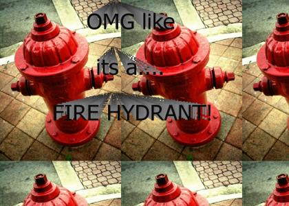 OMG fire hydrant