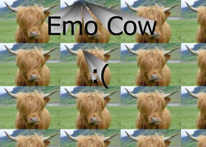 Emo Cow