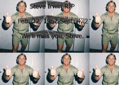 We'll Miss You Steve