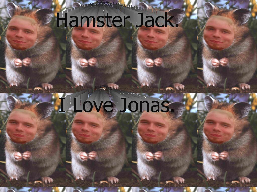 hamsterjack