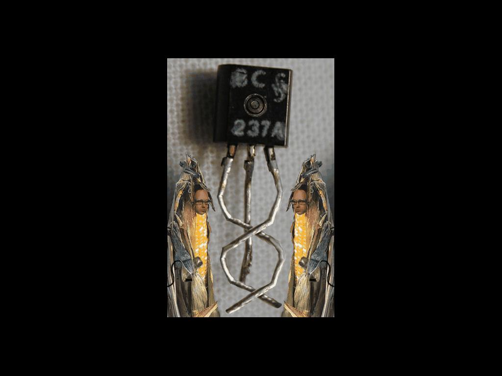 twisted-transistor