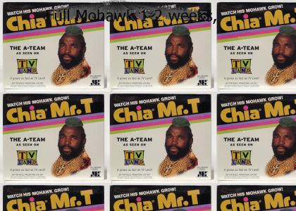 New! Chia Mr T