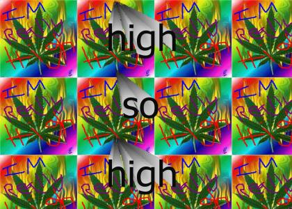 high so high