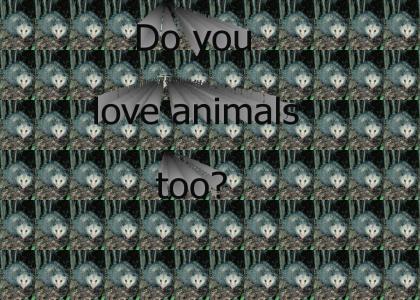 I <3 animals