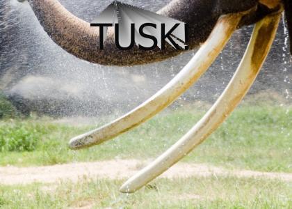 TUSK