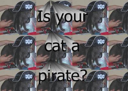 My cat is a Pirate!