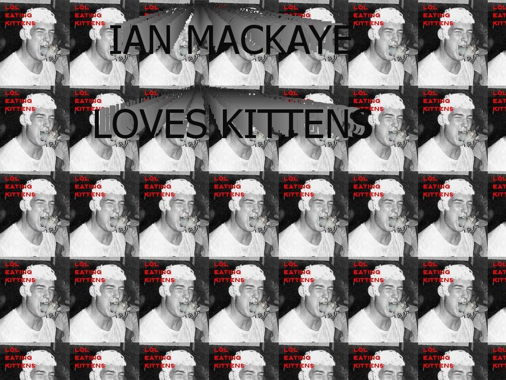 mackayekittens