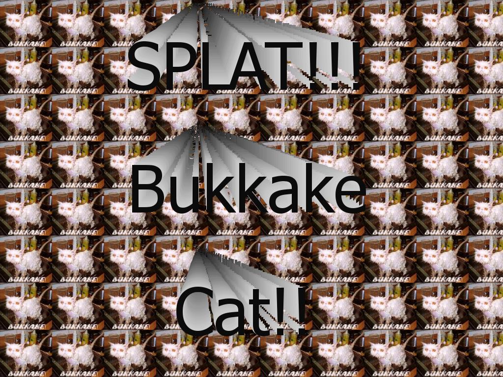 bukkakecat