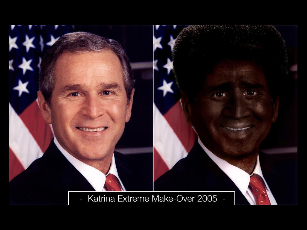 bushmakeover