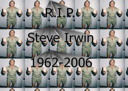 R.I.P. Steve Irwin