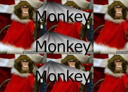 monkey!