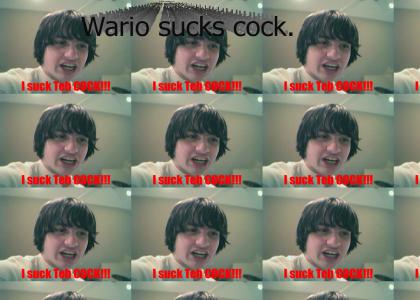 Wario is a fag.