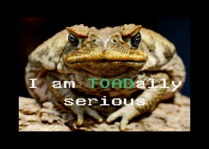 Serious frog is...
