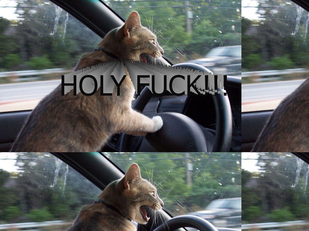 catisdriving