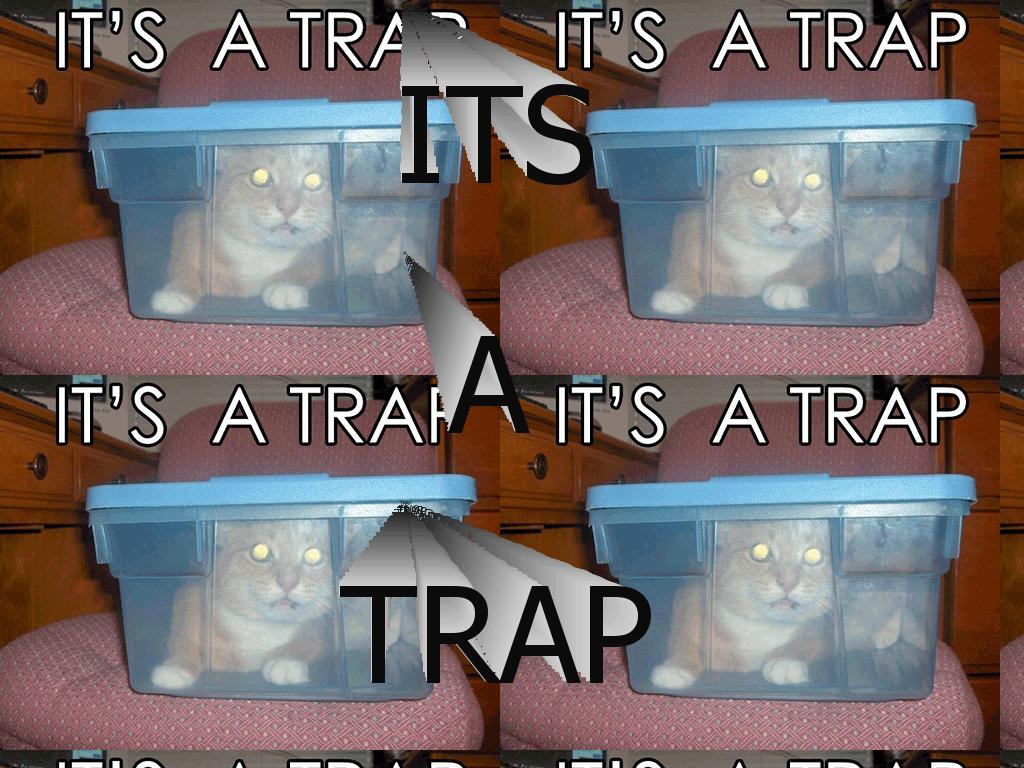 trappedcat
