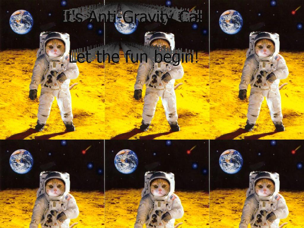 gravitycatbro