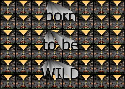 Born to be wild!