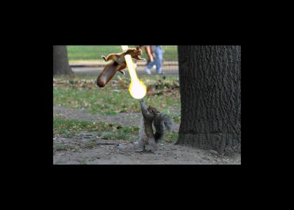 Duel of Squirrels 2