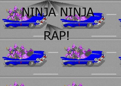 NINJAZ IN DA HOOD!