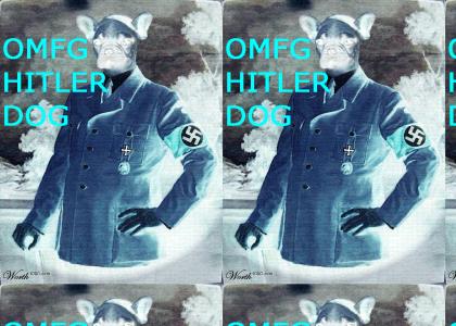 OMFG HITLER DOG!