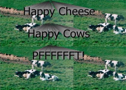 Happy cheese come from happy cows