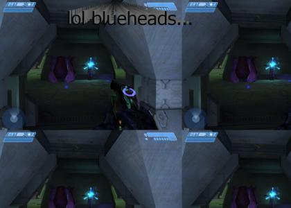 Marine bluehead pogo stick! (halo)