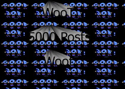 5000 Posts