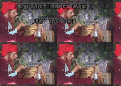 straightedgecats
