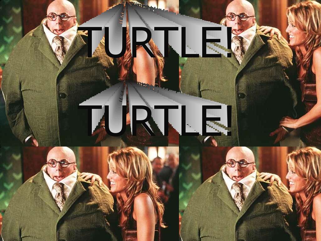 turtleclub