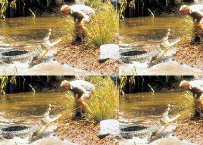 Steve Irwin stares into the face of Evil...