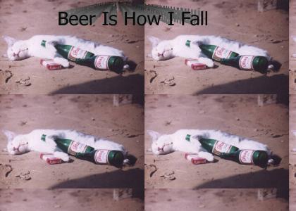 Beer Is How I Fall
