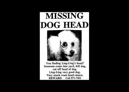 MISSING DOG HEAD