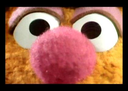 Fozzie Stares Into your Soul
